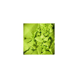 NYX Single Eye Shadow 2 - Light Green