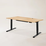 Nimble Standing Desk by EFFYDESK