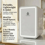 Pursonic Mini Beauty Fridge with LED Mirror Door