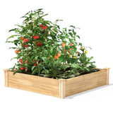 4ft x 4ft Outdoor Pine Wood Raised Garden Bed Planter Box - Made in USA