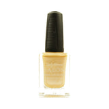 SALLY HANSEN Salon Nail Lacquer 4134 - Fizz It Is -  Fizz It Is