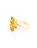 Honey Gold Adjustable Ring by Short & Suite