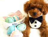 Plush Macaron Squeaky Dog Toy by Bonne et Filou