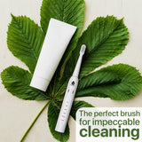 USB Rechargeable Electric Toothbrush