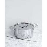 Duratux Tri-Ply Pot by Tuxton Home
