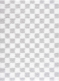 Atira Gray Checkered Area Rug