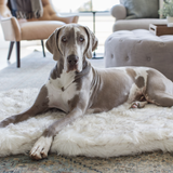 PupRug by Paw.com™ Faux Fur Orthopedic Dog Bed - Curve White with Brown Accents