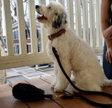 Bundle Shearling Fur Grip + Rope Leash for Dogs by Bonne et Filou