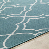 Folsom Area Rug