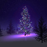 Colorful Firefly - Solar Mini LED Christmas Lights on Strings