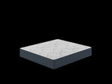 Restonic - ComfortCare DreamLux Plush by Couch.com
