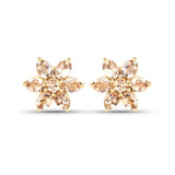 1.98 Carat Genuine Morganite 10K Yellow Gold Earrings