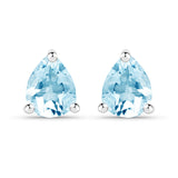 0.70 Carat Genuine Blue Topaz .925 Sterling Silver Earrings
