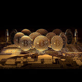 Bit Coins the Celebratory Coins in Crystal Clear Case