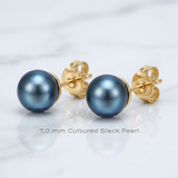RCJ - 14k Yellow Gold Cultured Black Pearl Stud Earrings (7.0 mm) - One Size - Blue - View 3