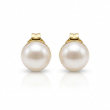 RCJ - 14k Yellow Gold Freshwater Cultured White Pearl Stud Earrings (7.0 mm) - One Size - Gold - View 4