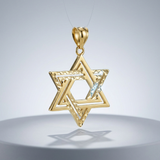 RCJ - 14k Yellow Gold Textured Star of David Pendant - One Size - Gold - View 2