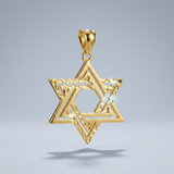 RCJ - 14k Yellow Gold Textured Star of David Pendant - One Size - Gold - View 4