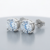 Avera - Penelope Stud Earrings - One Size - Silver - View 4