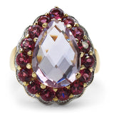 14K Yellow Gold Plated 6.75 Carat Genuine Amethyst & Rhodolite .925 Sterling Silver Ring