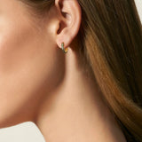 S925 Silver Black Stripe Hoop Earrings in 14K Gold - 15mm Earrings 