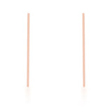 Avera Carolee Stainless Steel Long Line Drop Earrings